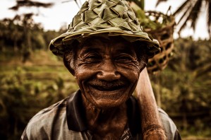 Rice Field Worker
